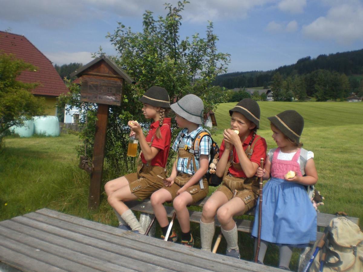 Willa Urlaub Am Bauernhof Grabenhofer Sankt Jakob im Walde Zewnętrze zdjęcie