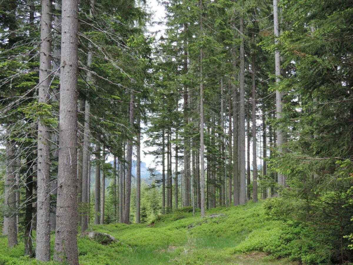 Willa Urlaub Am Bauernhof Grabenhofer Sankt Jakob im Walde Zewnętrze zdjęcie