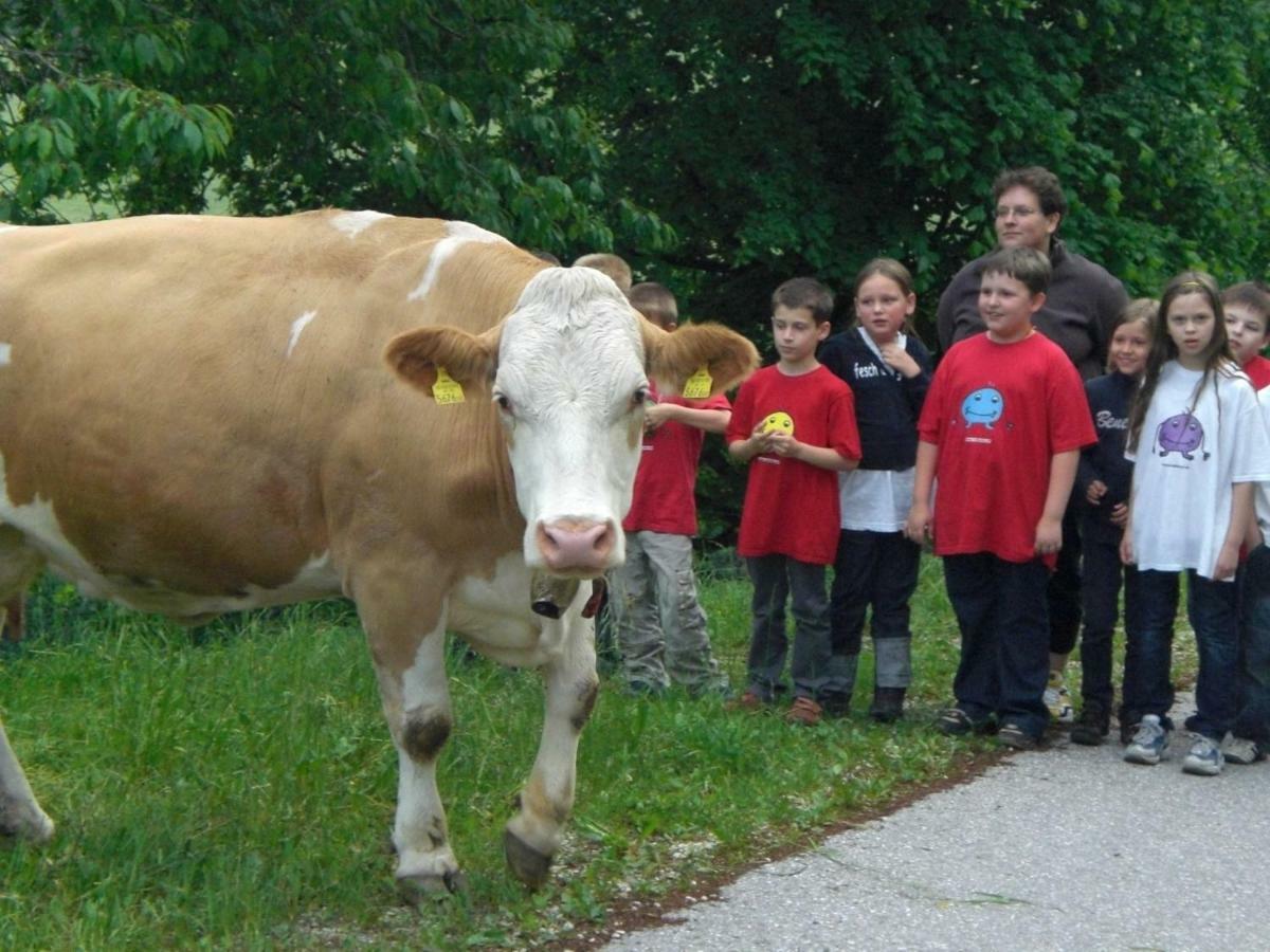 Willa Urlaub Am Bauernhof Grabenhofer Sankt Jakob im Walde Zewnętrze zdjęcie