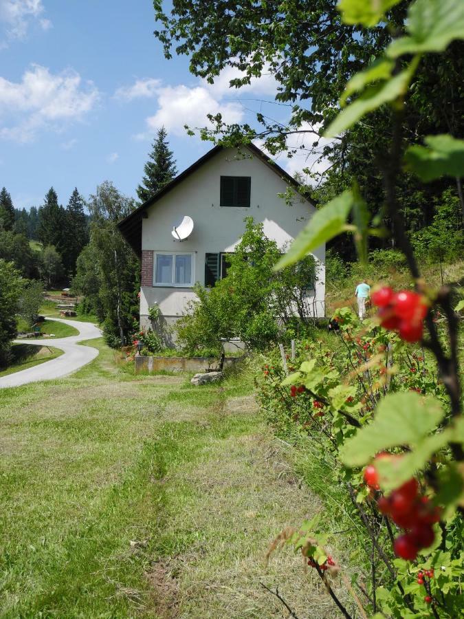 Willa Urlaub Am Bauernhof Grabenhofer Sankt Jakob im Walde Zewnętrze zdjęcie